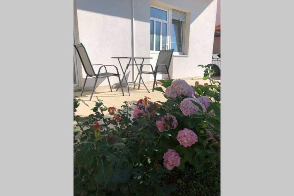 Marin Apartment Zadar Exterior photo